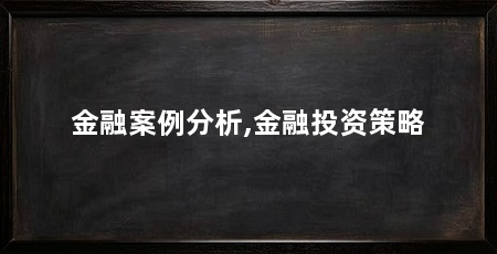 金融案例分析,金融投资策略