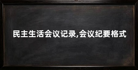 民主生活会议记录,会议纪要格式