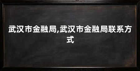 武汉市金融局,武汉市金融局联系方式