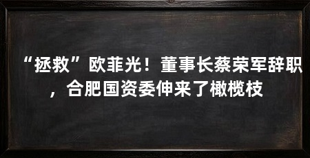 “拯救”欧菲光!董事长蔡荣军辞职,合肥国资委伸来了橄榄枝