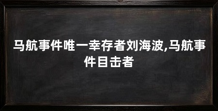 马航事件唯一幸存者刘海波,马航事件目击者