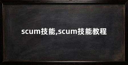 scum技能,scum技能教程