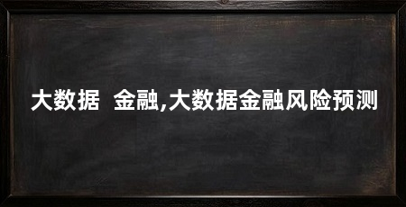 大数据 金融,大数据金融风险预测