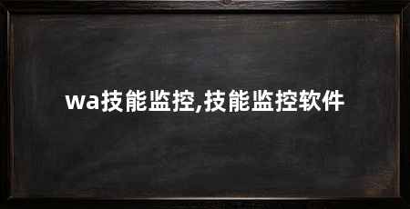wa技能监控,技能监控软件