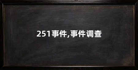 251事件,事件调查
