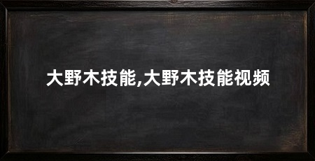 大野木技能,大野木技能视频