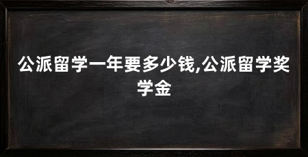公派留学一年要多少钱,公派留学奖学金