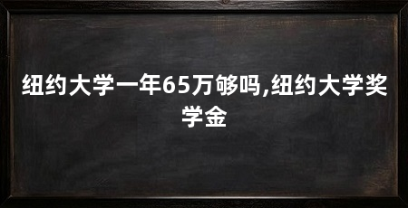 纽约大学一年65万够吗,纽约大学奖学金