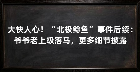 大快人心!“北极鲶鱼”事件后续:爷爷老上级落马,更多细节披露