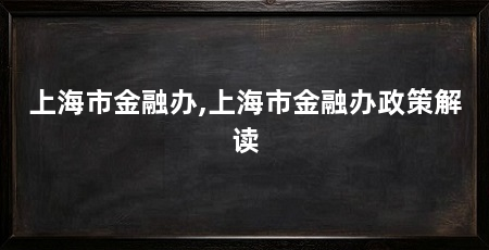 上海市金融办,上海市金融办政策解读