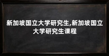 新加坡国立大学研究生,新加坡国立大学研究生课程
