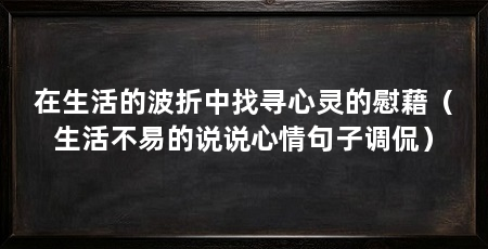 在生活的波折中找寻心灵的慰藉(生活不易的说说心情句子调侃)