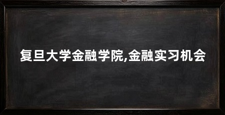 复旦大学金融学院,金融实习机会