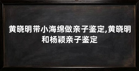 黄晓明带小海绵做亲子鉴定,黄晓明和杨颖亲子鉴定