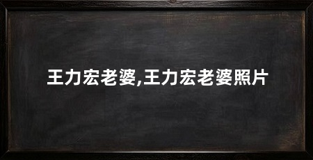 王力宏老婆,王力宏老婆照片