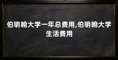 伯明翰大学一年总费用,伯明翰大学生活费用