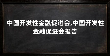 中国开发性金融促进会,中国开发性金融促进会报告