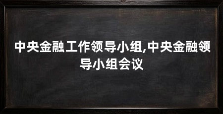 中央金融工作领导小组,中央金融领导小组会议