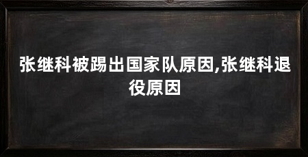 张继科被踢出国家队原因,张继科退役原因