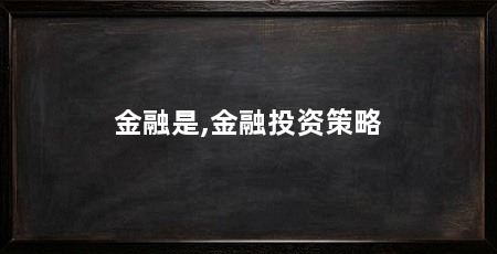金融是,金融投资策略