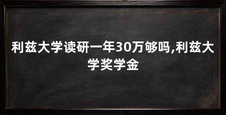 利兹大学读研一年30万够吗,利兹大学奖学金