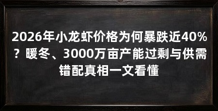 2026年小龙虾价格为何暴跌近40%？暖冬、3000万亩产能过剩与供需错配真相一文看懂