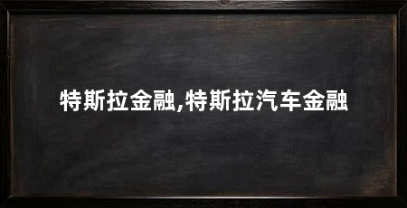 特斯拉金融,特斯拉汽车金融