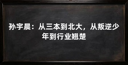孙宇晨：从三本到北大，从叛逆少年到行业翘楚