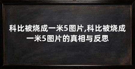 科比被烧成一米5图片,科比被烧成一米5图片的真相与反思