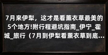 7月来伊犁,这才是看薰衣草最美的5个地方!附行程避坑指南_伊宁_霍城_旅行(7月到伊犁看薰衣草到底该去哪里,五大薰衣草观赏地解析