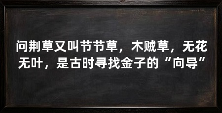 问荆草又叫节节草,木贼草,无花无叶,是古时寻找金子的“向导”
