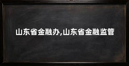 山东省金融办,山东省金融监管