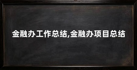 金融办工作总结,金融办项目总结