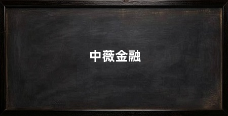 中薇金融