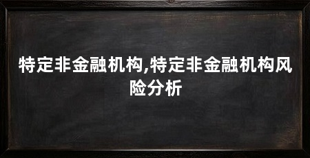 特定非金融机构,特定非金融机构风险分析
