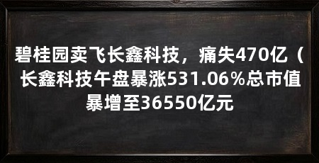 碧桂园卖飞长鑫科技，痛失470亿（长鑫科技午盘暴涨531.06%总市值暴增至36550亿元