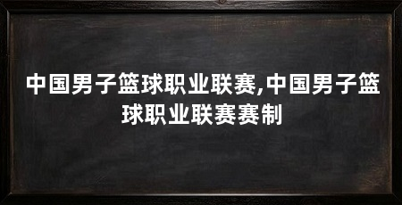 中国男子篮球职业联赛,中国男子篮球职业联赛赛制