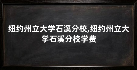 纽约州立大学石溪分校,纽约州立大学石溪分校学费