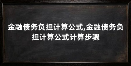 金融债务负担计算公式,金融债务负担计算公式计算步骤