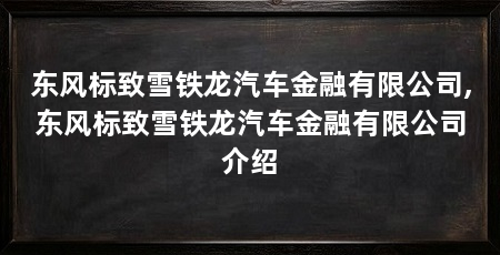 东风标致雪铁龙汽车金融有限公司,东风标致雪铁龙汽车金融有限公司介绍