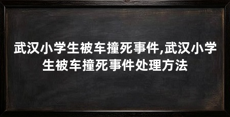 武汉小学生被车撞死事件,武汉小学生被车撞死事件处理方法