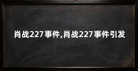 肖战227事件,肖战227事件引发
