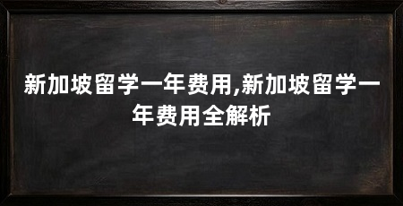 新加坡留学一年费用,新加坡留学一年费用全解析