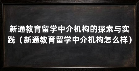 新通教育留学中介机构的探索与实践（新通教育留学中介机构怎么样）