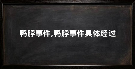 鸭脖事件,鸭脖事件具体经过