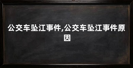 公交车坠江事件,公交车坠江事件原因