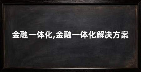 金融一体化,金融一体化解决方案