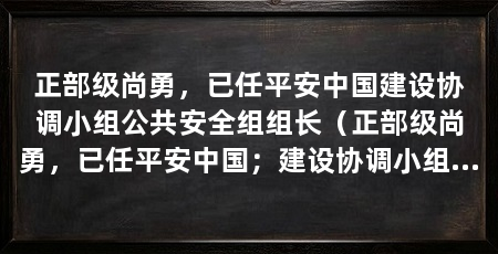 正部级尚勇，已任平安中国建设协调小组公共安全组组长（正部级尚勇，已任平安中国；建设协调小组公共安全专项组组长