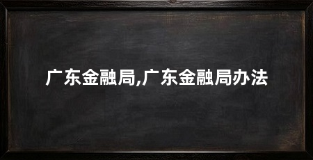 广东金融局,广东金融局办法