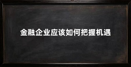 金融企业应该如何把握机遇